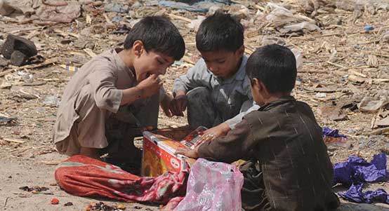 cc攻击免费网页版